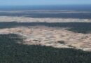 INPE: deforestación en Amazonía brasileña supera 11.500 km2 en un año