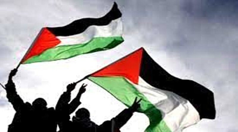 banderas palestinas ondenando