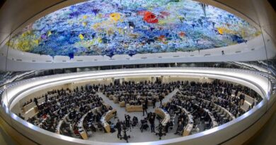 Expertos de la ONU califican el bloqueo contra Cuba como una violación del derecho internacional