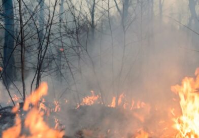Combaten tres incendios forestales en Pinar del Río