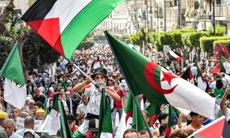 Argelia: manifestaciones en solidaridad con Palestina