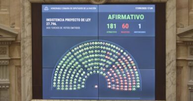 Golpe demoledor para Milei: Diputados rechazó los vetos