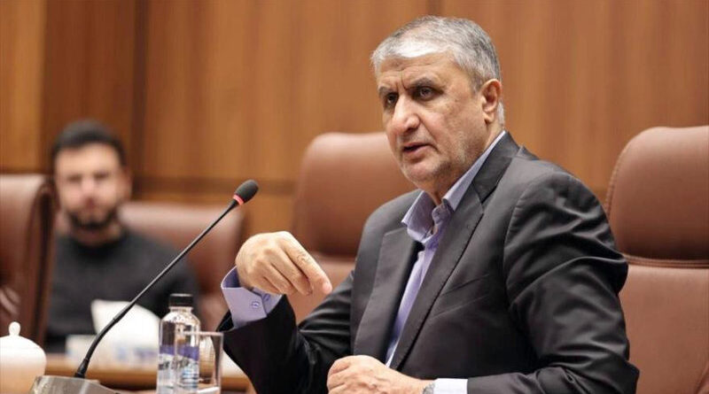 Jefe de la Organización de Energía Atómica de Irán, Mohammad Eslami