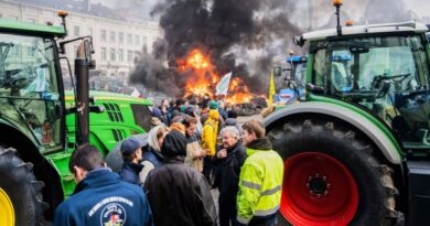 Los agricultores europeos en pie de guerra Los agricultores europeos en pie de guerra