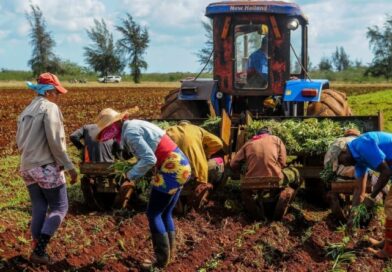 Se cumplieron 64 años de la firma del bloqueo contra Cuba (+video)