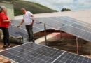 Sector tabacalero cubano impulsa cambio de matriz energética