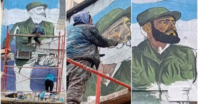 Argentina: 100 murales por Fidel Castro