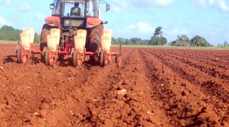 agricultura cubana