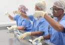 Cuba reactivar producción de fármacos para atención oncológica