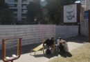 La Libertad Avanza quiere borrar al Che Guevara de Rosario